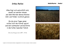 Stilles-Reifen-Morgenstern.pdf